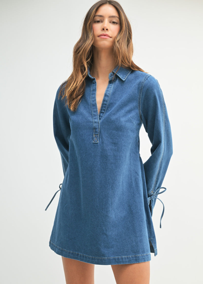 Darlin' In Denim Mini Dress
