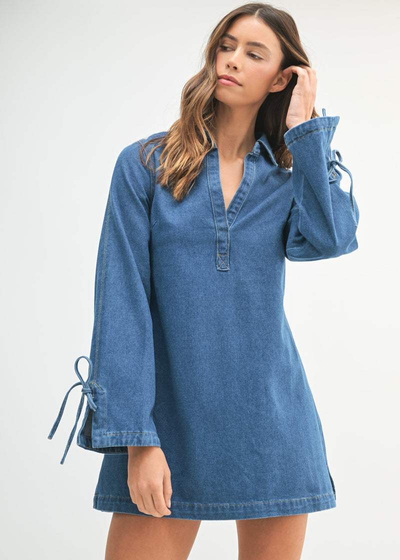 Darlin' In Denim Mini Dress