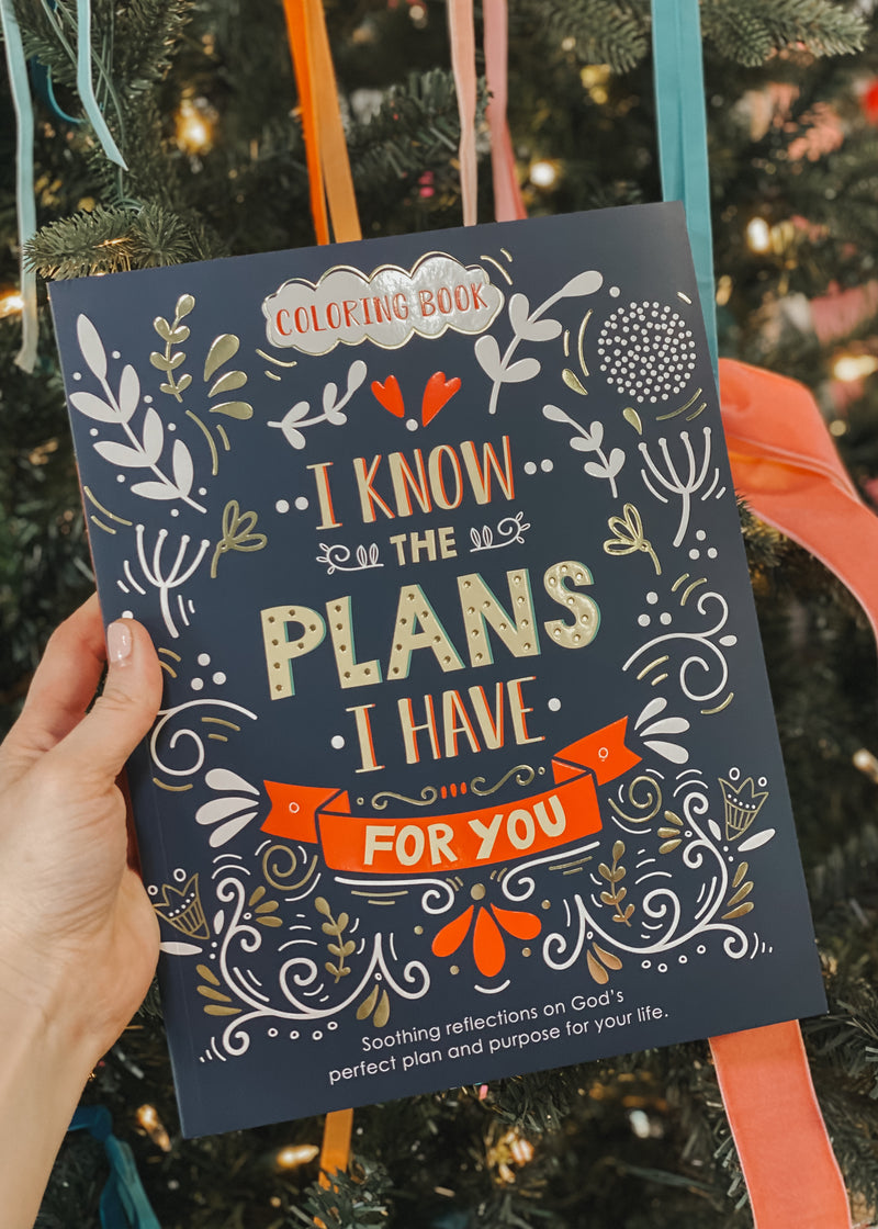 I Know The Plans Coloring Book