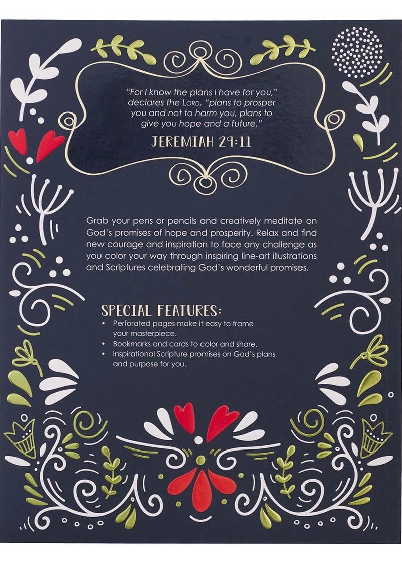 I Know The Plans Coloring Book
